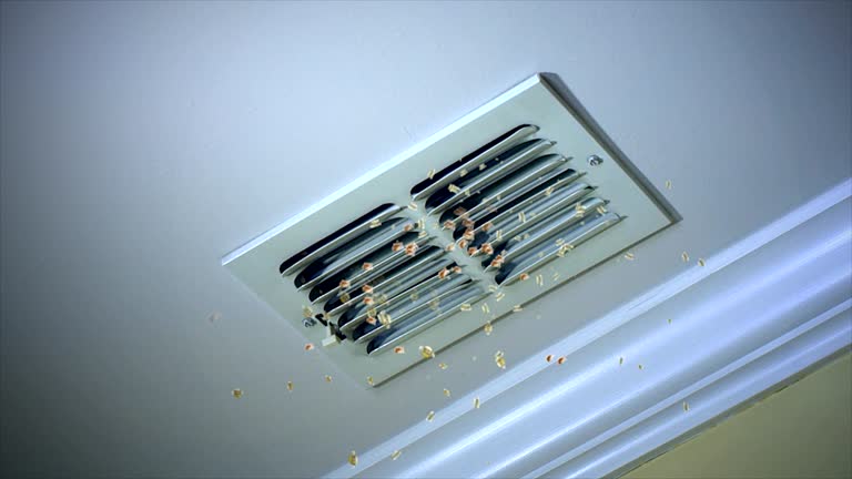 Best Residential Air Duct Cleaning  in Raymond, MS