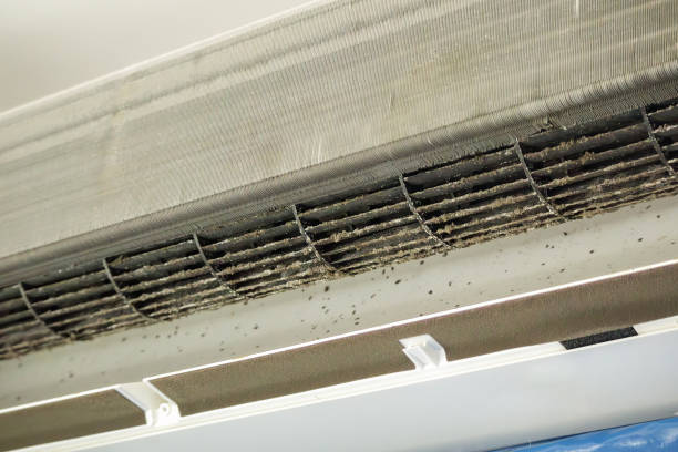 Best Ventilation Cleaning Services  in Raymond, MS
